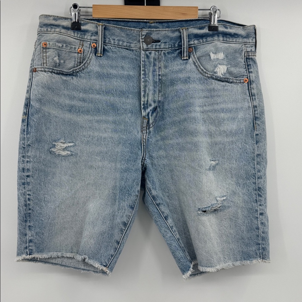 American Eagle Outfitters pride distressed raw hem denim shorts-NWT size 36